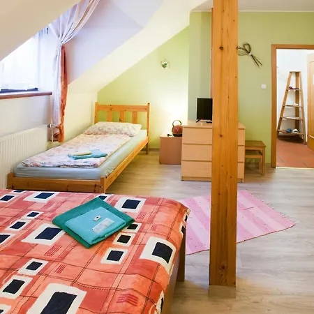 Hotel Statek *