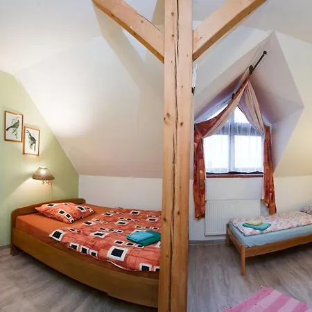 Hotel Statek Olsany (Vyskov)