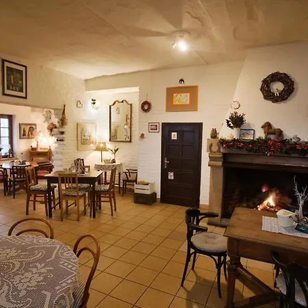 Statek Hotel Olsany (Vyskov)