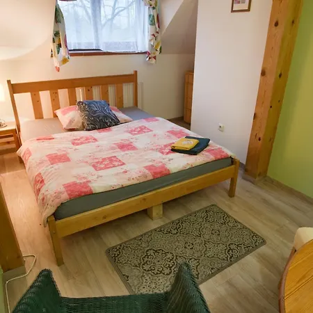 Hotel Statek Olsany (Vyskov)