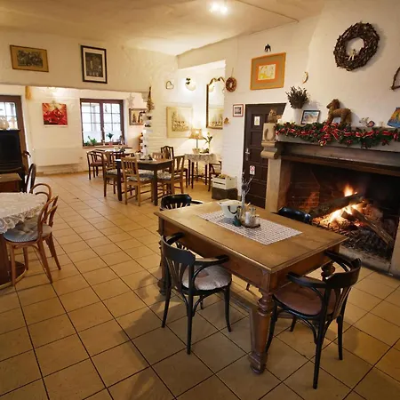 Hotel Statek Olsany (Vyskov)