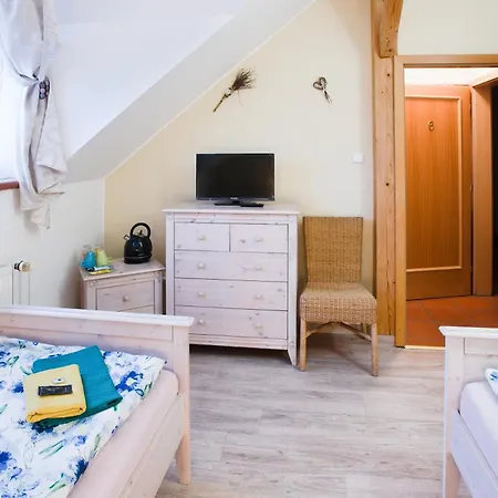 Statek Hotel Olsany (Vyskov)