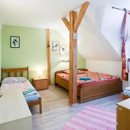 Hotel Statek Olsany (Vyskov)