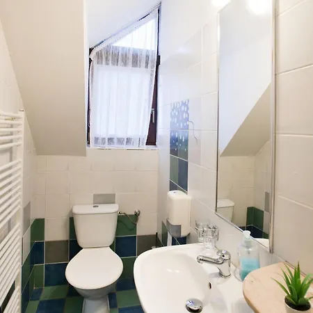 Hotel Statek Olsany (Vyskov)