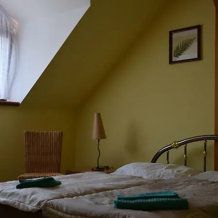 Hotel Statek *