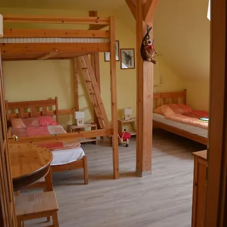 Hotel Statek Olsany (Vyskov)