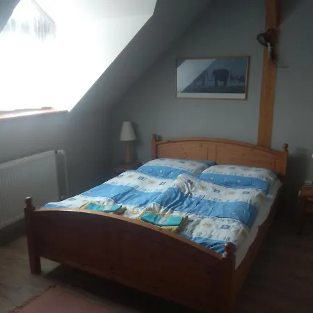 Hotel Statek Olsany (Vyskov)