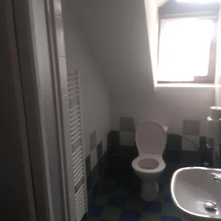 Statek Hotel Olsany (Vyskov)