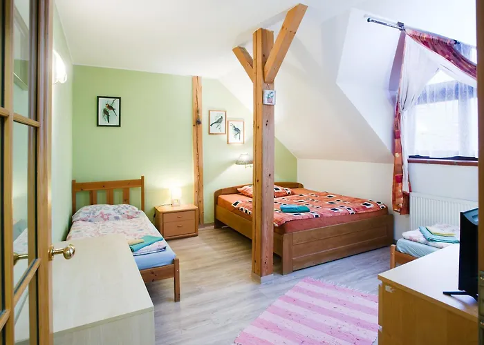 Otel Statek Olsany (Vyskov)