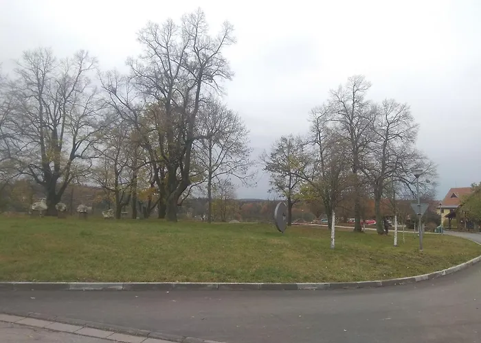 Statek Olsany (Vyskov)